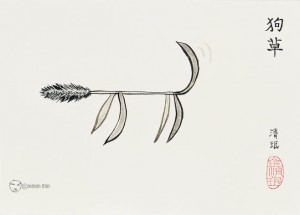 강아지풀, 한지에 수묵, 25x35cm (Foxtail, Korean ink on paper) 
