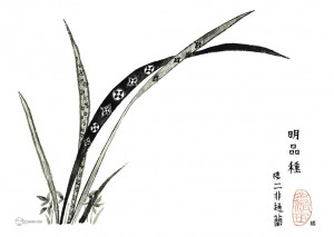 루이비통 난, 한지에 수묵, 35x25cm (Luis Vuitton Orchid)