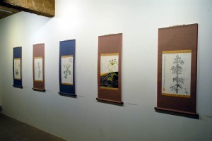 Gracious Plants Installation View, Gagallery, Seoul, 2008
