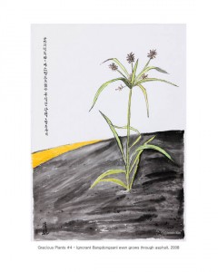 Gracious Plants 4 - Ignorant Bangdongsani even grows through asphalt, mixed media on paper, 50x35cm