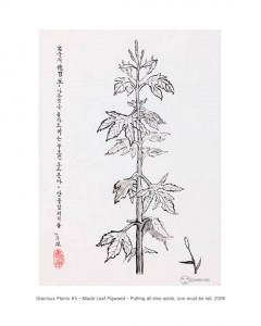 Gracious Plants 5 - Mable Leaf Pigweed - Putting all else aside, one must be tall, Korean ink on paper, 50x35cm